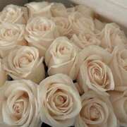 ヒメ日記 2025/08/19 18:34 投稿 さおり タレント倶楽部Around40