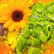 ヒメ日記 2025/08/28 03:26 投稿 さおり タレント倶楽部Around40