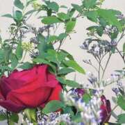 ヒメ日記 2025/09/10 00:04 投稿 さおり タレント倶楽部Around40