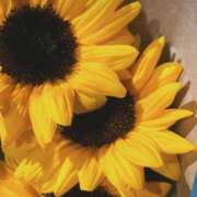 ヒメ日記 2025/09/15 06:20 投稿 さおり タレント倶楽部Around40