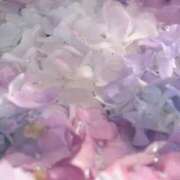 ヒメ日記 2025/09/20 06:16 投稿 さおり タレント倶楽部Around40