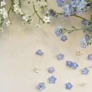 ヒメ日記 2025/09/22 04:26 投稿 さおり タレント倶楽部Around40