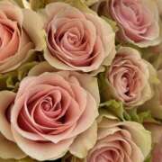 ヒメ日記 2025/10/05 20:00 投稿 さおり タレント倶楽部Around40