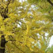 さおり お礼? タレント倶楽部Around40