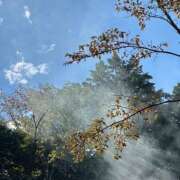 ヒメ日記 2025/12/10 02:34 投稿 さおり タレント倶楽部Around40