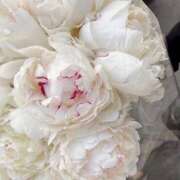 ヒメ日記 2025/12/15 13:42 投稿 さおり タレント倶楽部Around40