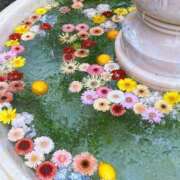 さおり お礼? タレント倶楽部Around40