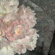 ヒメ日記 2026/01/30 15:20 投稿 さおり タレント倶楽部Around40