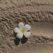 ヒメ日記 2026/02/24 12:32 投稿 さおり タレント倶楽部Around40