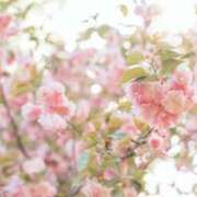 ヒメ日記 2026/02/26 13:50 投稿 さおり タレント倶楽部Around40