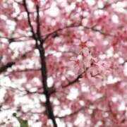 ヒメ日記 2026/03/11 21:58 投稿 さおり タレント倶楽部Around40