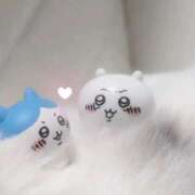 ヒメ日記 2026/03/31 01:58 投稿 さおり タレント倶楽部Around40