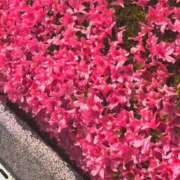 ヒメ日記 2026/05/11 12:00 投稿 さおり タレント倶楽部Around40