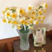 ヒメ日記 2025/02/26 10:03 投稿 ふゆき 三重松阪ちゃんこ