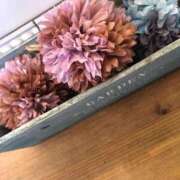 ヒメ日記 2025/02/26 21:33 投稿 ふゆき 三重松阪ちゃんこ