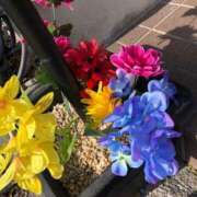 ヒメ日記 2025/02/27 15:43 投稿 ふゆき 三重松阪ちゃんこ