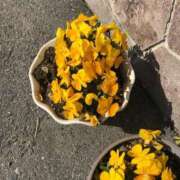 ヒメ日記 2025/02/27 22:23 投稿 ふゆき 三重松阪ちゃんこ