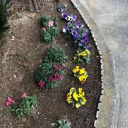 ヒメ日記 2025/03/01 12:53 投稿 ふゆき 三重松阪ちゃんこ