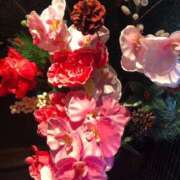 ヒメ日記 2025/03/03 15:43 投稿 ふゆき 三重松阪ちゃんこ