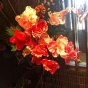 ヒメ日記 2025/03/10 01:03 投稿 ふゆき 三重松阪ちゃんこ