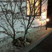 ヒメ日記 2025/03/14 15:23 投稿 ふゆき 三重松阪ちゃんこ