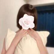 ヒメ日記 2026/07/11 11:37 投稿 白石 きさき Canx2京都店