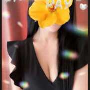 ヒメ日記 2025/06/11 13:51 投稿 花染いぶ ワイフコレクション