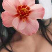 花染いぶ 明日は秋葉原🍎 ワイフコレクション