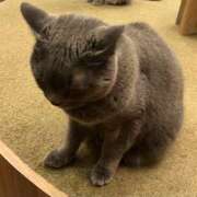 ヒメ日記 2025/02/08 12:48 投稿 湊ななせ ミセスハンズ