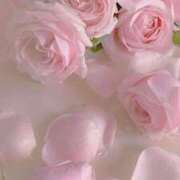 ヒメ日記 2025/04/15 05:08 投稿 葉月 川越勃たせる妻たち