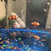 ヒメ日記 2025/05/10 19:08 投稿 葉月 川越勃たせる妻たち