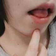 ヒメ日記 2024/12/15 01:09 投稿 ねるこ サティアンまーと