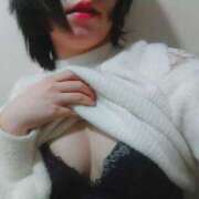 ヒメ日記 2024/12/17 09:39 投稿 ねるこ サティアンまーと