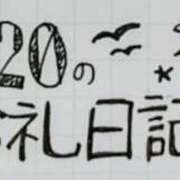 ヒメ日記 2024/12/21 09:39 投稿 ねるこ サティアンまーと