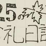 ヒメ日記 2024/12/25 23:07 投稿 ねるこ サティアンまーと