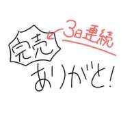 ヒメ日記 2025/01/15 14:49 投稿 ねるこ サティアンまーと