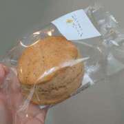 ヒメ日記 2025/05/14 11:49 投稿 ねるこ サティアンまーと