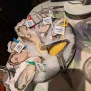 ヒメ日記 2026/04/18 09:49 投稿 ねるこ サティアンまーと