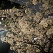 ヒメ日記 2025/03/27 23:28 投稿 りら 東京リップ 池袋店