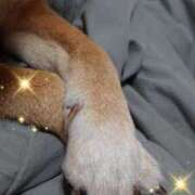 ヒメ日記 2025/03/30 10:17 投稿 水沢さおり 松戸人妻花壇