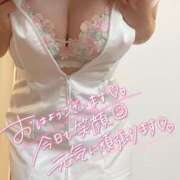 ヒメ日記 2025/05/07 10:45 投稿 花撫(かなで) 人妻城 横浜本店