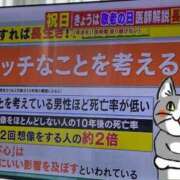 ヒメ日記 2025/05/28 22:10 投稿 花撫(かなで) 人妻城 横浜本店