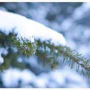 ヒメ日記 2024/12/19 07:36 投稿 白石 昼顔妻 五反田店