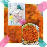 ヒメ日記 2024/12/13 19:23 投稿 わこ 熟女の風俗最終章 所沢店