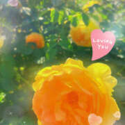 ヒメ日記 2025/05/11 09:09 投稿 えみね 大人の遊園地 川越店