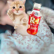 ヒメ日記 2025/06/21 23:09 投稿 えみね 大人の遊園地 所沢店