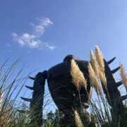 ヒメ日記 2025/09/18 20:01 投稿 えみね 大人の遊園地 所沢店