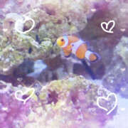 ヒメ日記 2025/01/31 10:15 投稿 えみね 大人の遊園地