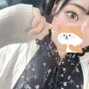 ヒメ日記 2025/04/14 10:49 投稿 えみね 大人の遊園地