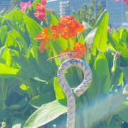 ヒメ日記 2025/03/26 16:46 投稿 えみね 大人の遊園地 熊谷店